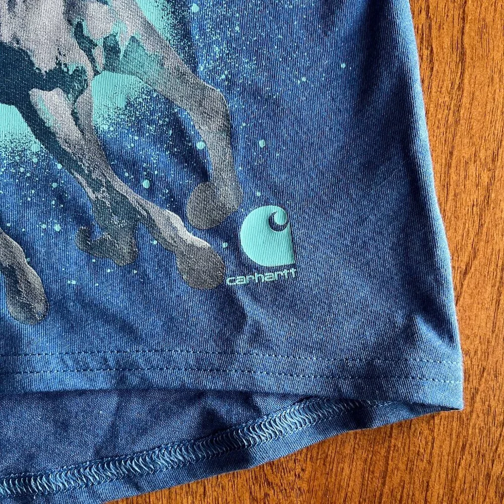 Carhartt celestial horse tee 4T NWT
